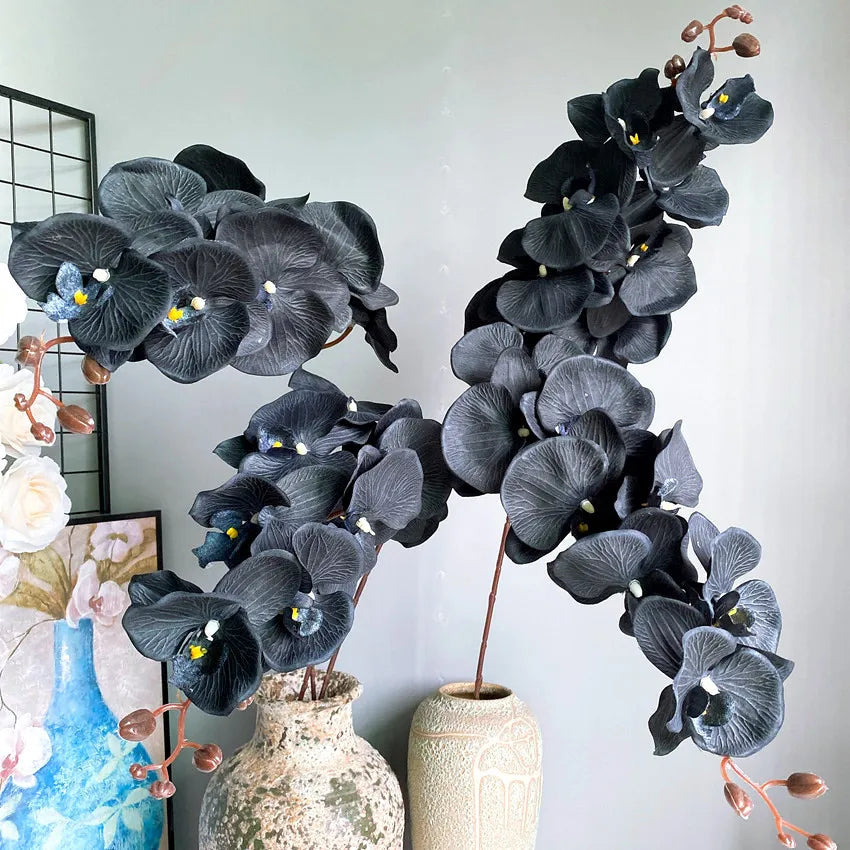 Large Black Butterfly Orchid